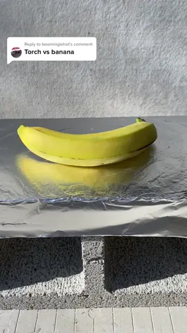 Replying to @boomingishot Torch VS Banana. Pictures of the aftermath can be found on our Instagram- change.ofstate            #satisfying #fyp #satisfyingvideo #destroy #torch #burn #blowthisupforme #blowthisup #flame #heat #super #destruction #fypシ #foryou #foryoupage #fire #melting #bananas #banana #food #Foodie #foodtiktok #FoodTok #foodreview 
