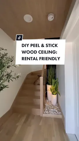 #homedecor #rentalfriendly #homeinspo #diyproject #homediy 