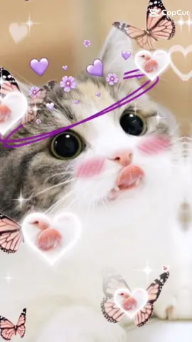 #CapCut #FotoKucingLucu #TrenKucing #KucingJedagjedug #JedagjedugCapCut #MentahanKucingImut #CuteCatWallpaper #CapCutTemplate #CapCutEdits #catlovers29 #CapCutJedagJedug 