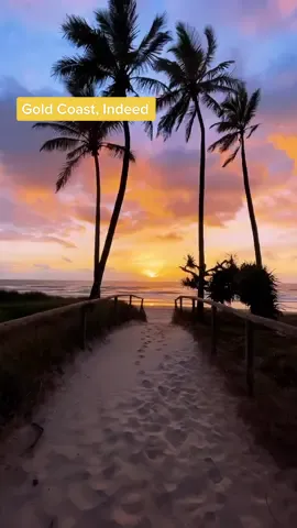 Who needs a caffeine fix when you've got a view like this to wake you up? ☀️😎  🎥: IG/shot.simple  📍: @Destination Gold Coast, @Queensland, Australia  #seeaustralia #comeandsaygday #queensland #goldcoast #australia #travel #tiktoktravel #beach #aussiebeaches #palmtree #travelgoals #adventure #bucketlist #sunrise #sunrisegoals #australianbeaches 