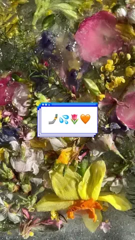 We float before we sink. 🧡 & #artist #art #flowers #photography #nature #tiktok #trending #fyp #foryoupage #foryoupage #Love