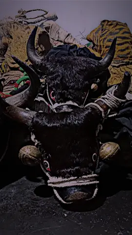 #stories #bantengan #kancilmas #bantengstory 