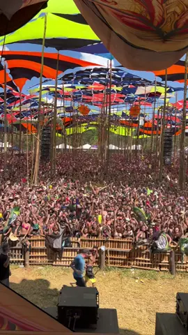 Imaginarium #flordavida #raves #ravesbr #djvegasbrazil #djvegas #trance #psytrance #psy #progtrance 