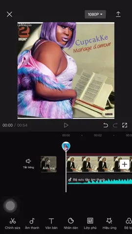 “Mariage d’amour” - CupcakKe  #cupcakke #cupcakkeremix #cupcakkeremixes #cupcakkefreak #floptok #floptok😍😍😭😌🤞💅💅 #mariage #mariagedamour #richardclayderman 