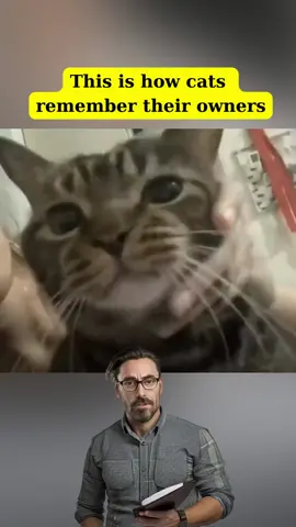 This is how cats remember their owners #cats  #kitten #catlover #pet #PetsOfTikTok #fyp #thestrangetruth