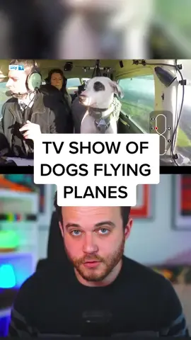 Imagine having less experience flying a plane than a dog does. #tvshow #realitytv #tvshows #television #fypシ #tvclips 
