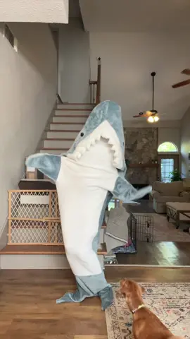 My best amazon purchase to date 