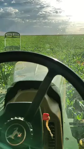 milho safrinha #safrinha2023 #jhondeere #pulverizador #operadoresdemaquinas #agriculture #m4030johndeere🇧🇷🌱❤️ 