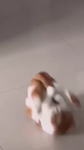 🥰
