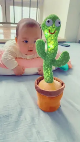 🔥🔥🔥Dancing Cactus 120 Songs 🎵 Taking Recording .Cute Dance Plant.#toy #forkids 