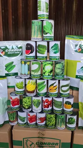 Authorized Distributor of Condor Seeds 🌱 Click the Yellow Basket to order 💛 #condorseeds #condorqualityseeds #condor #plantita #mpfcs #farmlife #agriculture #farming #vegetables #seeds #gardening #cropcare #magalongpoultryandfarmsupplies 