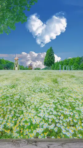 #canhdep #hinhnendong #hinhnendep #thiennhien #xuhuong #anhdep #hinhnendienthoai #xuhuongtiktok