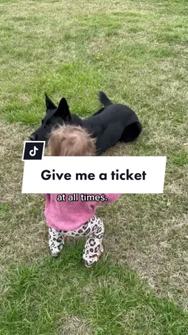 “Please help!! There’s an off leash dog playing with its owner in the park!!”
