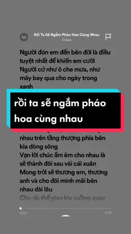 Trả lời @vydo492 Rồi Ta Sẽ Ngắm Pháo Hoa Cùng Nhau🥀#music #lyric #fyp #viral #trendingsong #thinhhanh #xuhuong #tramy776 #my_licee🍀 