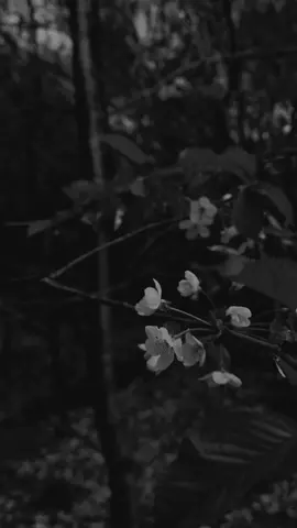 -Silahkan, tapi dimulai dari kata “Andai” #fypシ #hendivv🌜 #bismillahfyp #foryou #fyp #madura #unity_🖤🎧 #KenikmatanHakikiRamadan 