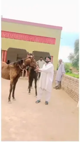 #mansoorqureshi476 #MaheRamzan #foryou 