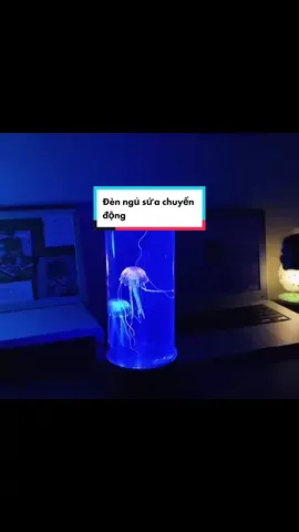 Đèn ngủ sứa cá chuyển động có nhiều màu #reviewđènled #reviewđènngủ #denngusua #viral #xuhuong #HPRadicalReuse 