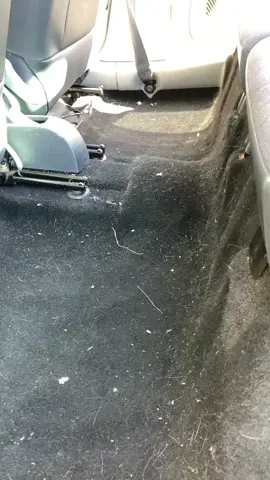 #rapido #nettoyageauto #carcleaning #cleaning #satisfying #asmr #carwashing #cars 