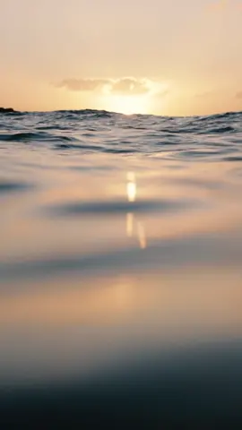 just float . . #hawaii #photography #surf #waves #sunset #aesthetic #ocean #floating #peaceful #calming #underwater #reflections #beachvibes #sunsetvibes #beautiful #videoviral 