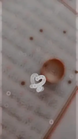 #CapCut #حسب_الطلب☺️💙 #انشالله_يعجبك #اسم_افنان 