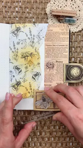 Replying to @melissamarmion Bee theme 🐝 Journal ASMR  May have added a wasp in the mix too 😅 The bee paper pack and stamps are from @journalsayshop Check out their shop in my bye oh ✨  #honeybee #journal #asmrtiktoks #scrapbookingideas #anxiety #fyp 