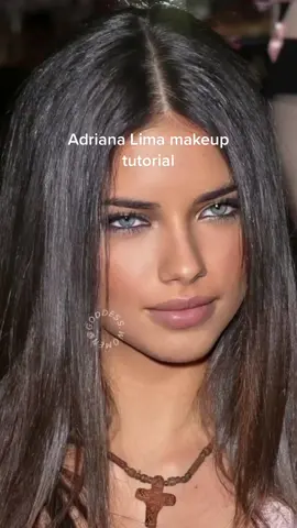 Adriana Lima makeup look. Do you like the result ??