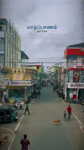 🐅  #யாழ்ப்பாணம் #jaffna #authenticsrilanka #jaffna_street #tamiltiktok #eelam #tamilsrilankatiktok #streetsinsrilanka #jaffnatiktok #srilankatiktok 