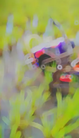 #traktorindonesia #traktormodif  #traktorsawah #traktortangan ndusur² maseh