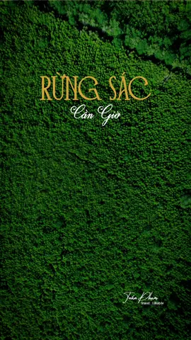 Một vài shot ưng ý nhất vẻ đẹp xanh mướt của Rừng Sác, Cần Giờ. Mỗi cuối tuần chỉ cần đến đây là có thể tận hưởng không khí trong lành rồi #dulich #dronevideo #saigon #cangio #phuot #rungsac 