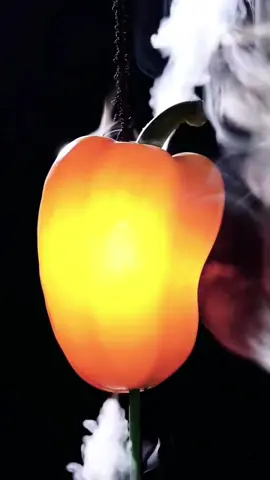 Can it be used for lunch? #relax #decompression #satisfying #closeup #marcos #fyp