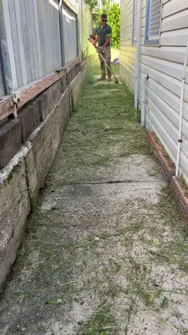 🌱#satisfying #satisfyingvideo #edging #edges #lawn #lawntok #grasstok #fyp #lawnsoftiktok #odlysatisfying #odlysatisfyingvideos #lawncare 