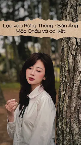 Ai cũng đến Mộc châu chụp rừng mận, vì vậy mình chụp ảnh rừng thông 🤭 🌲🪵✨📸 #LearnOnTikTok #chuphinhxinh #chinhmauanh #cachtaodang #posing #fyp #mocchau #rungthong #xuhuong #taodangchuphinh 