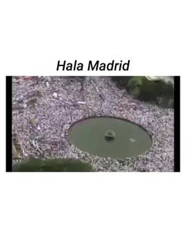 FMI (Fans Madrid Indonesia) #fypdongggggggg #memes #meme #fypシ゚viral #fypシ  #fypage #fyp #f #xyzbca #xyzcba #fy 