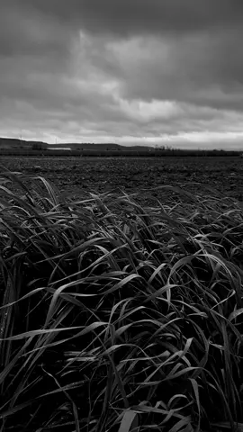 Momentos de tranquilidad. #photography #photographer #video #blackandwhite #monochrome #landscapephotography #naturaleza #paisaje #nature #blancoynegro #travel 