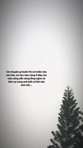🫶🫶 #xuhuongtiktok #xuhuong #xh #xhtiktok #ChiYeuMinhAnh #fyp #trending #fypシ #ngochan #xuhuong 