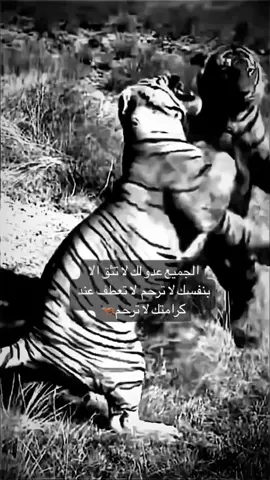 #اصحاب_العبارات_الفخمه_التعليقات_لكم👑  