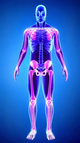 How to get a massive growth spurt. How to grow taller. #fyp #foryou #SelfImprovement #height #growthspurt #growthspurts #growtaller #growtallertips #howtogrowtaller #growtall #theskyscrapermethod #skyscrapermethod #hormones #biology #biologie #health #healthy #bonegrowth #bones #growthplates #aesthetics #attractive #moreattractive 