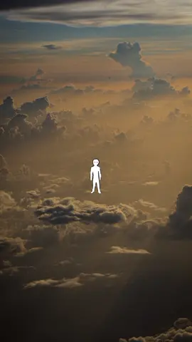 Y me fui 🍃 Rachmaninov, piano concerto 2 #rachmaninoff #rachmaninov #rachmaninoffpianoconcerto #musicaclasica #classicalmusic #artok 