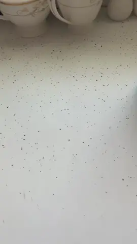 #fyp #foryou #montana #absarokee #fishtailmt #ghostenergydrink #swedishfish #trending #nyemt