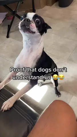 I feel bad for scaring her😂 #fyp #foryoupage #MyDolceMoment 