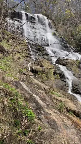 Nature heals. #fyp #healing #nature #naturevibes #travel #blackwomenoftiktok #lesbiansover30 