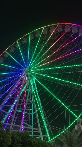 مدينه العاب نوارس #كربلاء  كلش ونسه