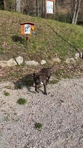 #foryou #fyp #a #سعوديه_تركيه_امريكا_عراق_لبنان_امارات_خليج_دبي 