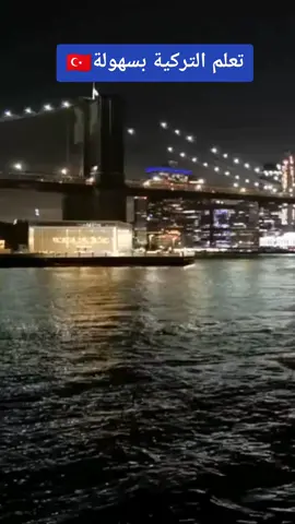 Ibrahim Erkal أغنية الشغف التركية مترجمة للعربية #fy #fu #fypシ #تعلم_التركية #foryourpage #tiktok #viral #funny 