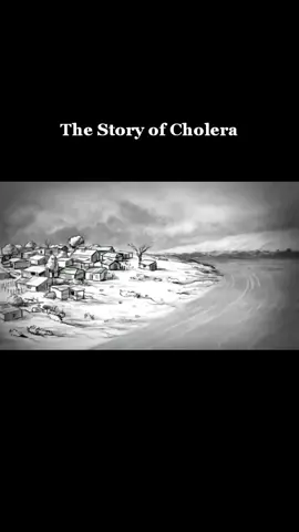 #covi #covid19 #fypシ #fyp #viral #seram #penyakit #cartoon 