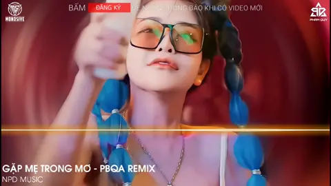 Gặp Mẹ Trong Mơ - PBQA Remix #xuhuongtiktok #nhachaymoingay #nhacremix #phamduymedia #fyp 