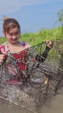 Okey Lest Go .....😍😍😍😍😍😍#trúcphươngvlog #congáimiềntây #xuhuong #tiktokgiảitrí #vietnamfishing #fishing #sôngnướcmiềntây #mênuôicá 