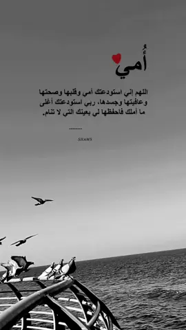 #الام_نعمة_لاتتعوض_يارب #اكسبلوررررر_لايك_متابعه_فولو_تصويري♡ 