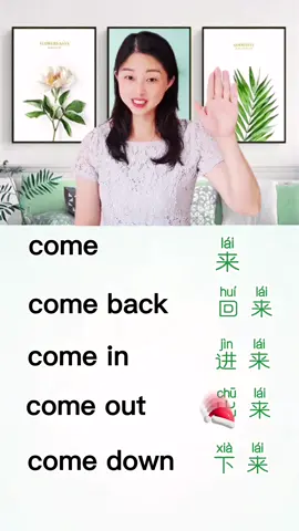 #learnchinese #chineseteacher #chineseculture #LearnOnTikTok #clockchallenge #come 