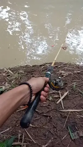 cah i mendoo 🗿 #CallofDragons #KenikmatanHakikiRamadan #fyp #mancing 